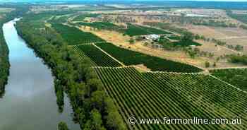 Citrus and table grape portfolio with counter-seasonal production system