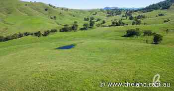 Mirannie district's Glendale with 1164 acres of top quality cattle country