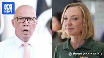 Nationals hopeful pans Coalition rejection of Labor's mining tax sweetener