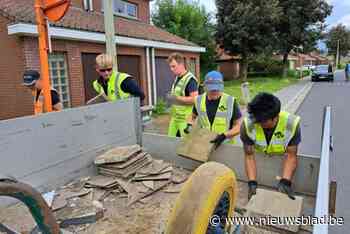 Tegeltaxi steunt Wase ambities voor Vlaams kampioenschap tegelwippen