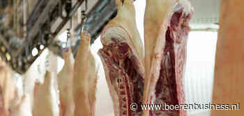 Dit doet stoppersregeling met het varkensaanbod