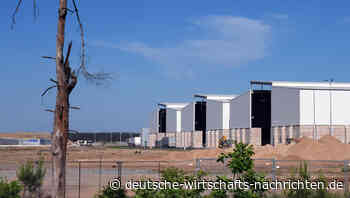 Pessimismus wächst: Unternehmen sehen Klimaneutralität zunehmend als unerreichbar an