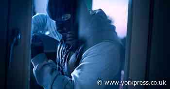 Chainsaw thief strikes in North Yorkshire village
