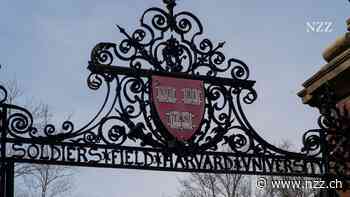 Donald Trump entfacht einen Kulturkrieg mit der Elite-Uni Harvard