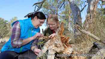 Diese beiden Frauen beschützen Augsburgs natürliche Schätze
