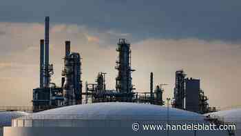 Interview: Berater Zimmerlin: „Rohstoffhändler müssen wieder stärker auf ihre Kosten achten"