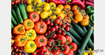 Harvest House brengt focus aan in internationale strategie