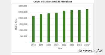 Mexicaanse avocadosector in de lift