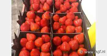 “Met de huidige prijsschommelingen is de daghandel bijna niet meer haalbaar”