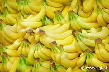 Strenge Franse controle leidt tot goedkope bananen in Suriname