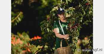 Eerste Jerte kersen half mei verwacht