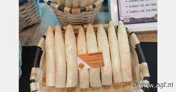 Spaanse witte aspergeoogst begint nu pas