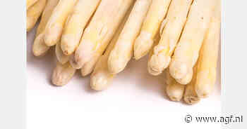 "Aanhoudende droogte baart veel aspergetelers zorgen"