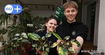 „Whiteleafplants“ – zwei Studenten eröffnen in Hannover Laden für exotische Pflanzen