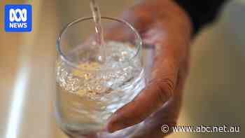 A missing former boss, a looming class action and forever chemicals in water