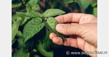 Nieuwe controle procedures bij Demeter