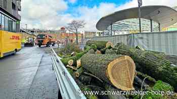„Schwierige Bedingungen“: Am Nagolder Busbahnhof fallen alle Bäume