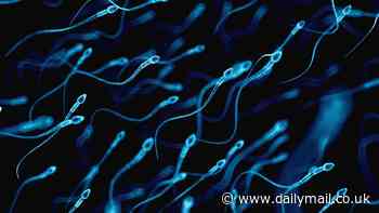 World's first SPERM race will take place before a live audience of more than 1,000 spectators next week