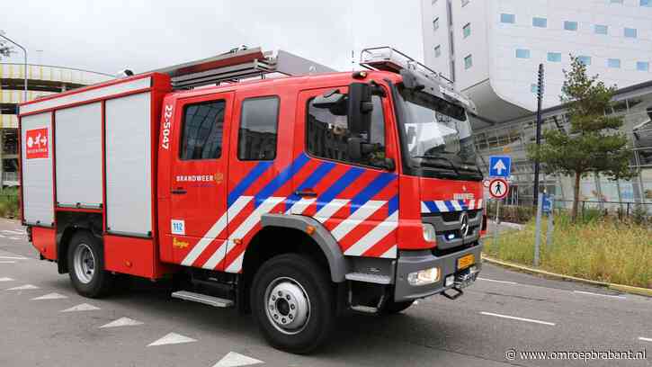Opnieuw brand in bosgebied Drunen,  vuur snel onder controle