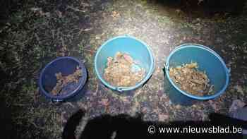 Paddentrek was enorm succes