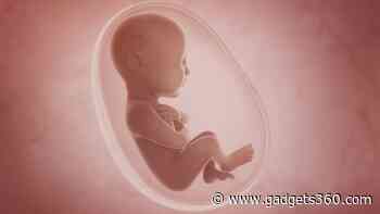 World's First Baby Born Through Fully Automated, Remotely Operated IVF Procedure