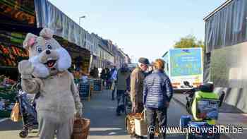 Paashaas huppelt op 16 april door woensdagmarkt van Berlaar