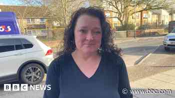 Dog attack owners defend their pets