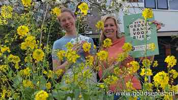 Yvette en Josefien roepen op: help de bij, zaai een bloemenzee in Gouda