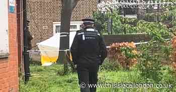 Man, 21, dies after stabbing on quiet residential street in Kennington