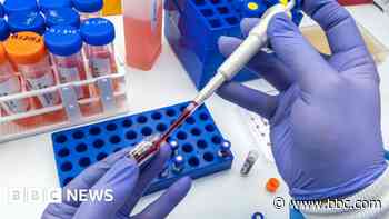 Blood test firm blamed for 'catalogue of disasters'