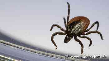 Gefahr durch Zecken immer größer