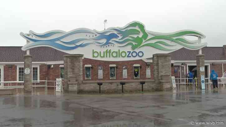 Buffalo Zoo partners with M&T Bank for free admission days starting Thursday