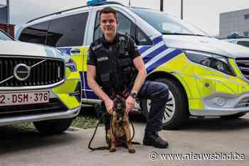 Pup Alpha is nieuwste rekruut van hondenteams politie: “Nog lang parcours voor de boeg”