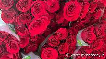 Mercato dei Fiori, in viale Palmiro Togliatti raddoppiano le giornate di apertura al pubblico