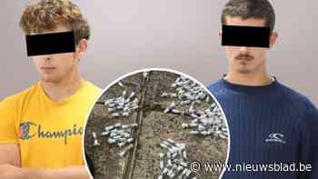 Kempense jongemannen opgepakt in Kenia op verdenking van smokkelen van 5.000 mieren: “We zijn naïef geweest”