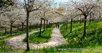 Travel experts name Northumberland's top 10 'fantastic' days out for families