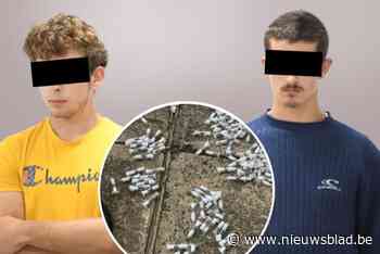 Kempense jongemannen opgepakt in Kenia op verdenking van smokkelen van 5.000 mieren: “We zijn naïef geweest”