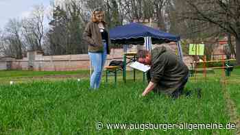 Zukunft gestalten, Talente entfalten: So läuft der Wettbewerb der grünen Berufe