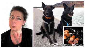 „War für mich die Hölle“: Wollte jemand gezielt die Hunde einer Flintsbacherin (53) töten?