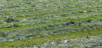 Vroeg voorjaar betekent niet gelijk vroeg gras