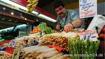 Spargelzeit! Worauf Ihr bei Kauf und Lagerung achten solltet