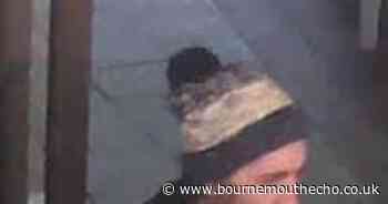 CCTV appeal after man causes damage at Christchurch gym