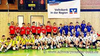 VfL Nagold Handball: Auf Talenteschau  in der Bächlenhalle