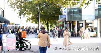 New political poll shows which party people in Wales rate highest