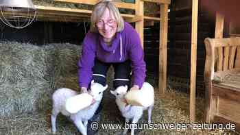 Hanni und Nanni in Peine – alle vier Stunden gibt’s Milch