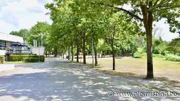 Buitenspeeldag in Bornem op Breeven wordt mini-festival met 21 standjes