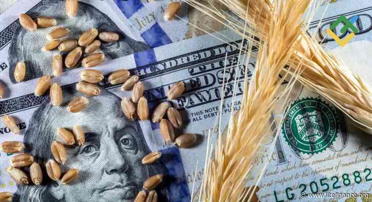 Wheat Price Forecast & Prediction for 2025, 2026, and 2027–2030