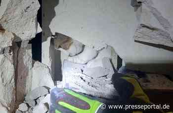 FW Ratingen: NACHTRAG zu: Aufwendige Tierrettung / undankbare Katze