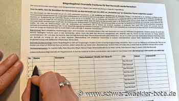 Bürgerbegehren in Bad Herrenalb: Kommen genug Unterschriften zusammen?