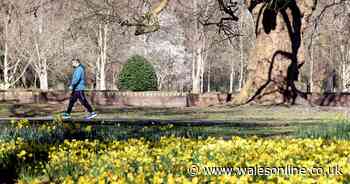 Met Office predicts when warm weather will return as Easter weekend approaches